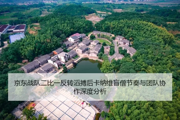 jing-dong-zhan-dui-er-bi-yi-fan-zhuan-tao-bo-hou-ka-na-wei-mang-seng-jie-zou-yu-tuan-dui-xie-zuo-shen-du-fen-xi-2-231.jpg